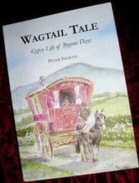 Enlarge image Cover: Wagtail Tale - Limes End Yard Publishing