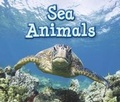 Cover: Sea Animals - Raintree Publishers