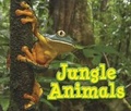 Cover: Jungle Animals - Raintree Publishers