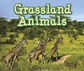 Cover: Grassland Animals - Raintree Publishers