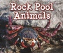 Cover: Rock Pool Animals - Raintree Publishers
