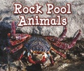 Cover: Rock Pool Animals - Raintree Publishers