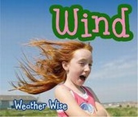 Enlarge image Cover: Wind - Raintree Publishers