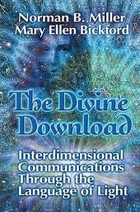 Enlarge image Cover: The Divine Download - Lulu.com