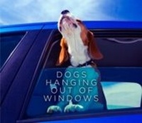 Abbildung von: Dogs Hanging Out Of Windows - Orion (an Imprint of The Orion Publishing Group Ltd )