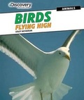 Cover: Birds: Flying High - PowerKids Press
