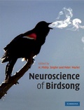 Cover: Neuroscience of Birdsong - Cambridge University Press