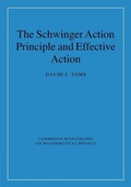 Cover: The Schwinger Action Principle and Effective Action - Cambridge University Press