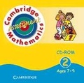 Cover: Cambridge Mathematics Assessment CD-ROM 2 Ages 7-9 Extra User - Cambridge University Press