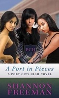 Cover: A Port in Pieces - Saddleback Educational Publishing, Inc.