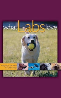 Enlarge image Cover: What Labs Love - Howell Books