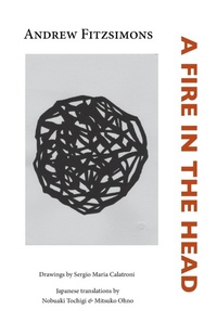 Abbildung von: A Fire in the Head - Isobar Press