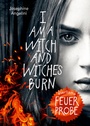Cover: Everflame 1. Feuerprobe - Dressler
