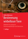 Cover: Müller/Bährmann Bestimmung wirbelloser Tiere - Springer Spektrum