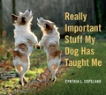 Cover: Really Important Stuff My Dog Has Taught Me - Workman Adult