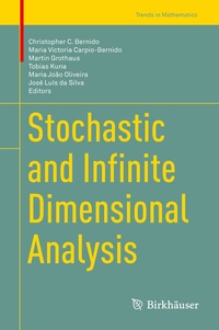 Enlarge image Cover: Stochastic and Infinite Dimensional Analysis - Birkhäuser
