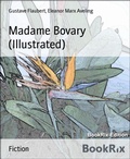 Cover: Madame Bovary (Illustrated) - BookRix