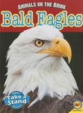 Cover: Bald Eagles - Av2 by Weigl