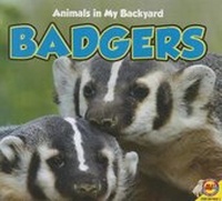 Enlarge image Cover: Badgers - Av2 by Weigl