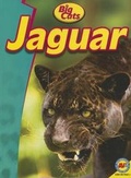 Cover: Jaguar - Av2 by Weigl