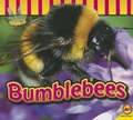 Cover: Bumblebees - Av2 by Weigl