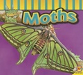 Cover: Moths - Av2 by Weigl