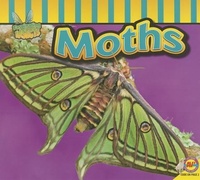 Enlarge image Cover: Moths - Av2 by Weigl