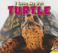 Enlarge image Cover: Turtle - Av2 by Weigl