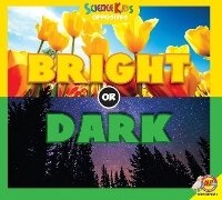 Enlarge image Cover: Bright or Dark - Av2 by Weigl