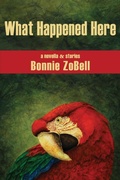 Cover: What Happened Here - Press 53