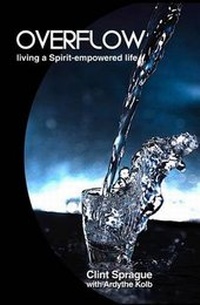 Enlarge image Cover: Overflow - Next Step Books