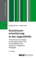 Cover: Sozialraumorientierung in der Jugendhilfe - Juventa Verlag ein Imprint der Beltz Verlagsgruppe GmbH & Co. KG