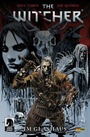 Cover: The Witcher - Panini Verlags GmbH