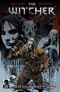 Cover: The Witcher - Panini Verlags GmbH