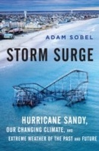 Abbildung von: Storm Surge - Harper Wave
