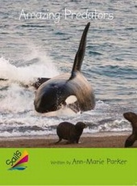 Enlarge image Cover: Leveled Reader 6pk Emerald - Rigby