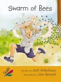 Cover: Leveled Reader 6pk Gold - Rigby