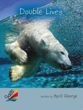 Cover: Leveled Reader 6pk Silver - Rigby