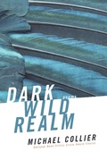 Cover: Dark Wild Realm - Mariner Books