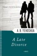 Cover: A Late Divorce - Mariner Books
