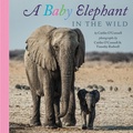 Cover: Baby Elephant in the Wild - Houghton Mifflin