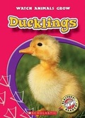 Cover: Ducklings - Children's Press(CT)