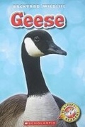 Cover: Geese - Scholastic