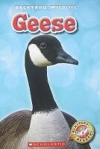 Enlarge image Cover: Geese - Scholastic