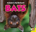 Cover: Bats - Av2 by Weigl
