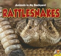 Cover: Rattlesnakes - Av2 by Weigl