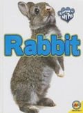 Cover: Rabbit - Av2 by Weigl