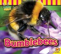 Cover: Bumblebees - Av2 by Weigl