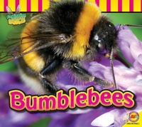 Enlarge image Cover: Bumblebees - Av2 by Weigl