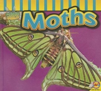 Enlarge image Cover: Moths - Av2 by Weigl